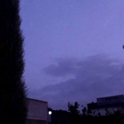 凤凰彩票手机app下载